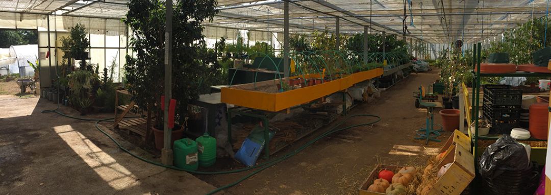 Pôle lotois - ESAT Les Sources de Nayrac